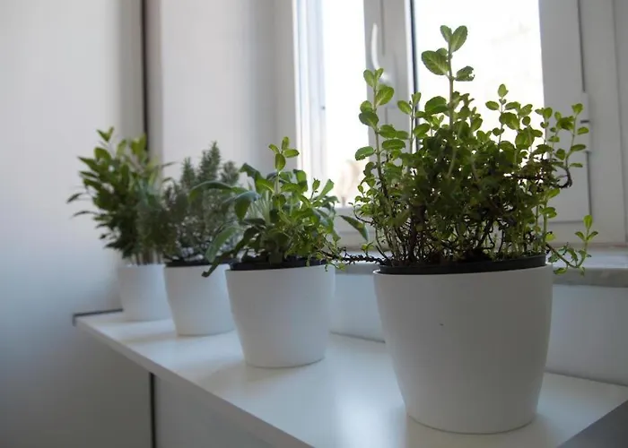 Appartamento Navona Design Casa E Per Vacanze Roma